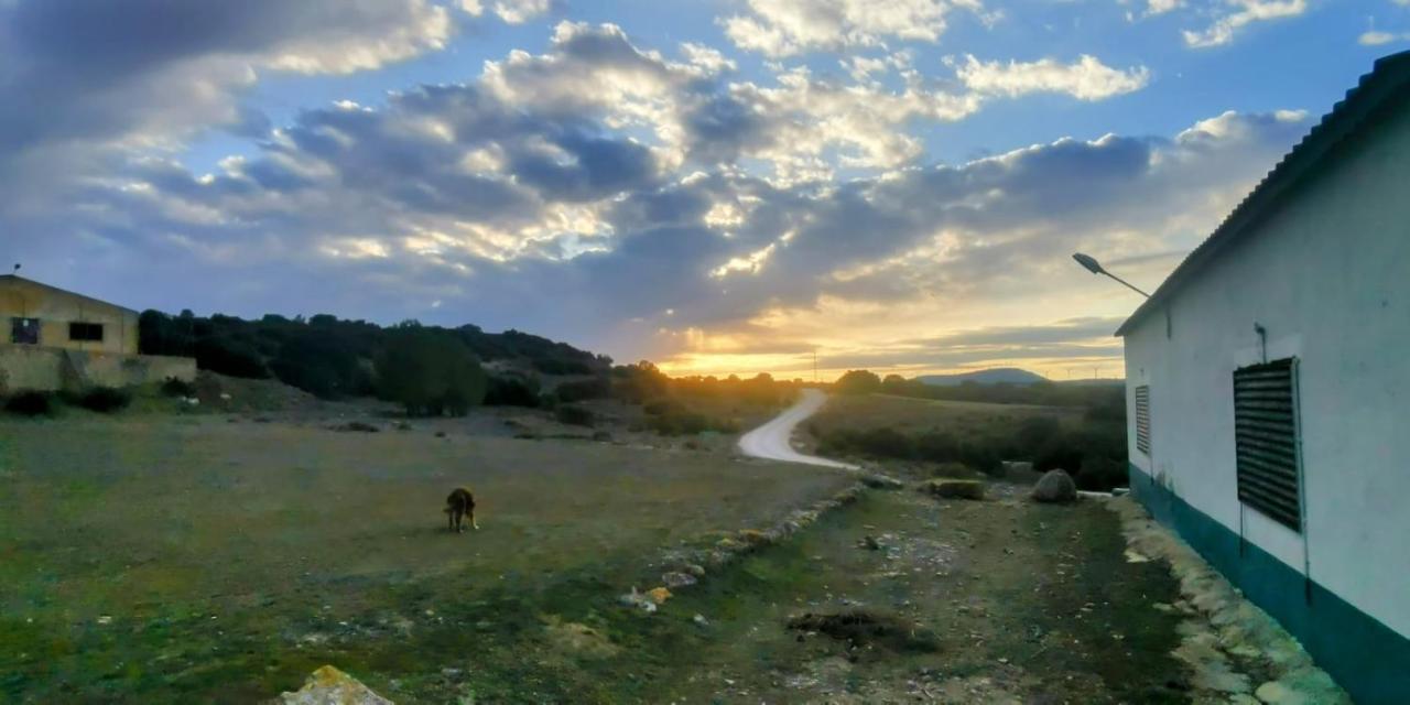 Casas Rurales La Laguna, Alpera Bagian luar foto